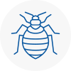 Bed Bug Extermination In Locks Heath