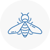 Bee Nest Removal Locks Heath