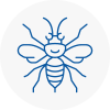 Locks Heath Hornet Nest Removals