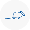 Mice Exterminators In Locks Heath