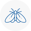 Moth Control Specialists In Locks Heath