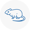 Rat Control Locks Heath