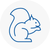 Locks Heath Rodent Removals